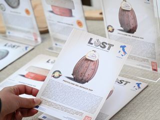 PHOTOCREDIT - VINCENZO NICOLELLO