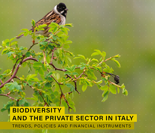 Rapporto Etifor, tutela della biodiversità è una responsabilità condivisa