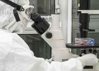 La scoperta per ricaricare le cellule e combattere l'invecchiamento