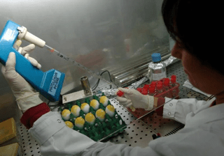 Lupus eritematoso, Moroni (San Raffaele): "Priorità approccio multidisciplinare" Lupus eritematoso, Moroni (San Raffaele): "Priorità approccio multidisciplinare"