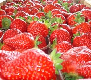 Peveragno pregusta la 67^ Sagra della Fragola (Video)