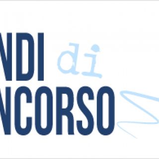 Lugano cerca un nuovo responsabile delle Risorse umane
