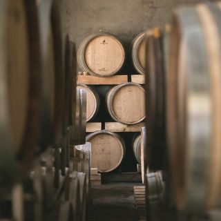 In Ticino si avvicina l’ora delle giornate delle cantine aperte