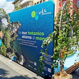 Le Isole di Brissago fanno bella mostra di sè nel cuore del Locarno Film Festival