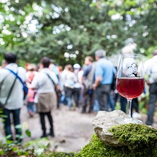 Domenica 10 ottobre a Stabio c’è la &quot;Mangialonga&quot;