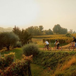 Pedalando nel Mendrisiotto alla scoperta del vino