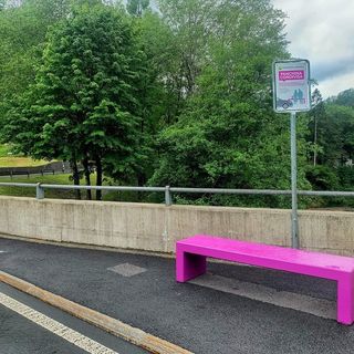 Installate a Palagnedra le panchine viola per il car pooling