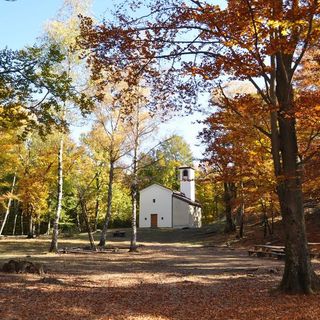 5 sentieri dove la castagna è regina: il parco del Castagno
