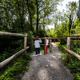 Il Parco della Valle della Motta