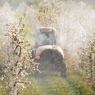Acqua potabile pulita e cibo sano? La Svizzera al voto il 13 giugno