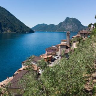 Il Sentiero dell'olivo che si snoda tra Gandria e Castagnola