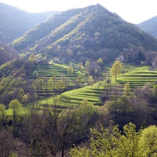 5 sentieri dove la castagna è regina: la Valle di Muggio, la più a sud della Svizzera