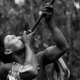 Amazzonia, l’ultima foresta va in scena al Cinema Forum di Bellinzona