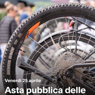 Asta delle biciclette ritrovate a Lugano