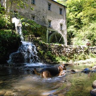 Sabato si celebra la Giornata Svizzera dei Mulini 2022