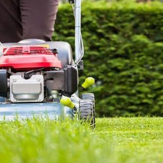 Domani la giornata contro il rumore 2022: per un giardinaggio silenzioso