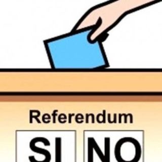 Domenica 29 novembre la Svizzera torna alle urne per due referendum
