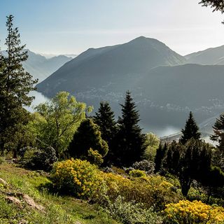Luoghi del Ticino da non perdere: Parco San Grato – Carona