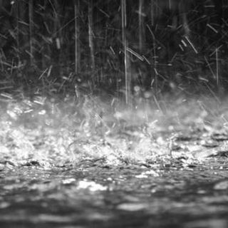 Allagamenti, frane, cedimenti di muri ed alberi caduti ma nessun ferito: il maltempo flagella il Mendrisiotto