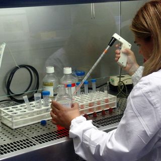 La Svizzera firma quattro contratti per lo sviluppo di farmaci contro il Covid-19