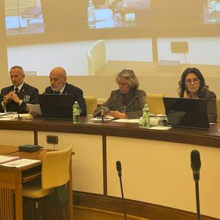 La commissione difesa al Senato durante la riunione di oggi