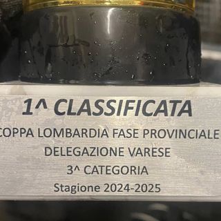 L'Asd Ponte Tresa vince la Coppa di Lombardia e la dedica è tutta per Daniele: «A lui è dedicata la vittoria affinché vinca anche lui»
