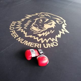 Boxe Verbania, dual match italo-svizzero il 19 febbraio