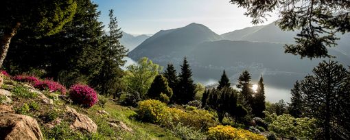 Luoghi del Ticino da non perdere: Parco San Grato – Carona Luoghi del Ticino da non perdere: Parco San Grato – Carona