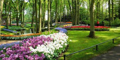 Col verde per una Lugano resiliente Col verde per una Lugano resiliente