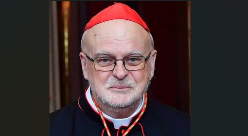 Il cardinale ticinese di nascita Anders Arborelius