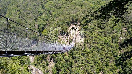 A spasso nel Canton Ticino. Il ponte tibetano "Carasc"