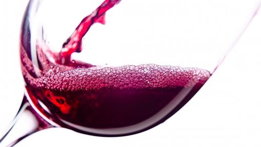 Il re dei vini del Canton Ticino è… nato in Francia: Sua Maestà il Merlot