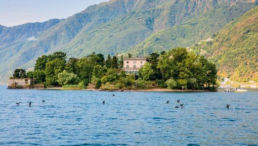Luoghi del Ticino da non perdere: le Isole di Brissago ed il Giardino Botanico Luoghi del Ticino da non perdere: le Isole di Brissago ed il Giardino Botanico