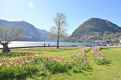 In Ticino un clima mediterraneo come in Croazia? In Ticino un clima mediterraneo come in Croazia?