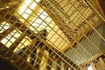 Salerno, la denuncia: l'omicida del panettiere di Sarno si fotografa in cella con il fratello