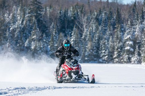 Immagine di repertorio