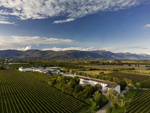 I vini Bottega senza paura dei dazi