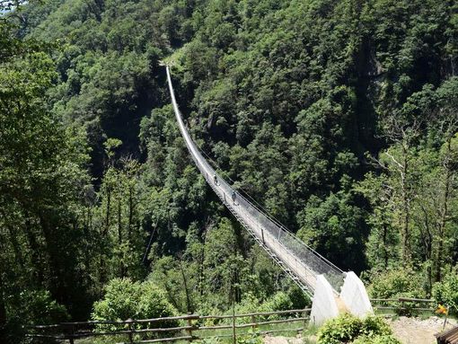 Cosa più esotico in Ticino del Giro del ponte Tibetano?