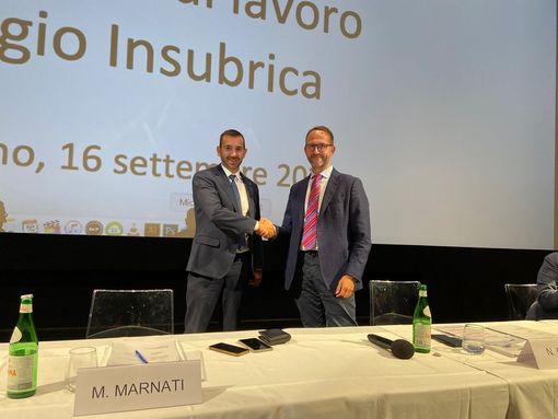 La presidenza della Regio Insubrica passa dalla Regione Piemonte al Canton Ticino La presidenza della Regio Insubrica passa dalla Regione Piemonte al Canton Ticino