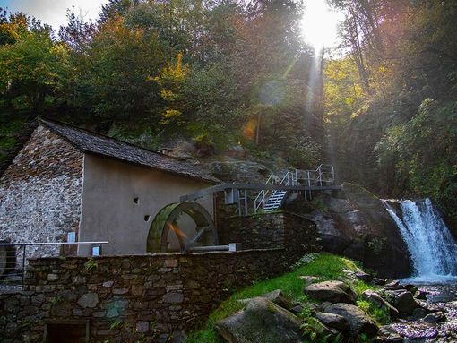 5 sentieri dove la castagna è regina: la via del Ceneri 5 sentieri dove la castagna è regina: la via del Ceneri
