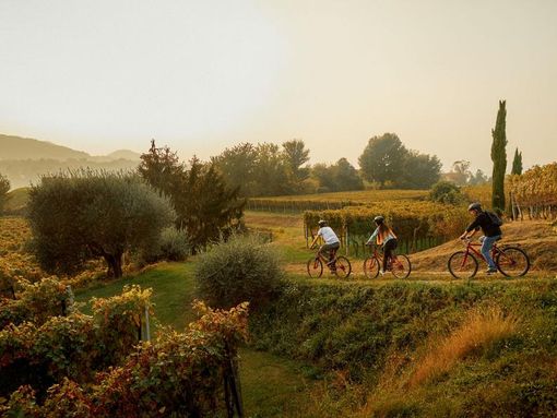 Pedalando nel Mendrisiotto alla scoperta del vino