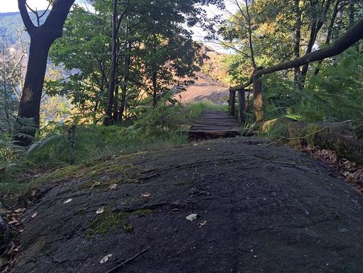 La Riserva forestale di Maia