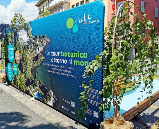 Le Isole di Brissago fanno bella mostra di sè nel cuore del Locarno Film Festival