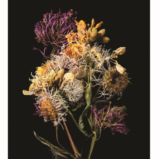 Olga Cafiero vince il Garesio Wine Prize for Documentary Photography&quot;