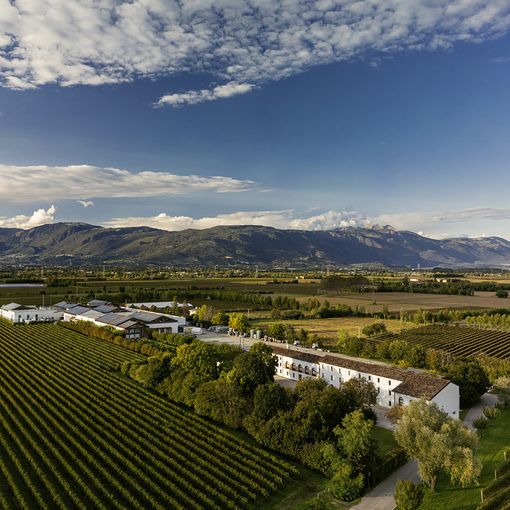 I vini Bottega senza paura dei dazi