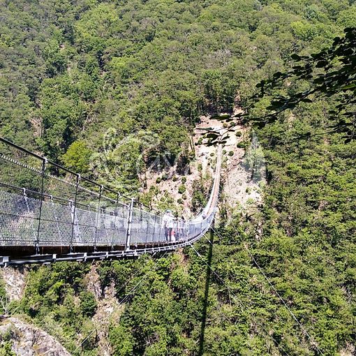 A spasso nel Canton Ticino. Il ponte tibetano &quot;Carasc&quot;