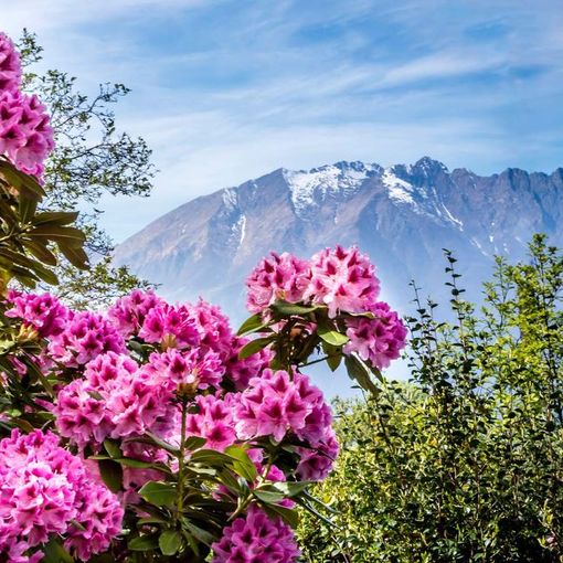 A spasso nel Canton Ticino. Tra monti e lago - Sentiero educativo