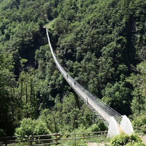 Cosa più esotico in Ticino del Giro del ponte Tibetano?