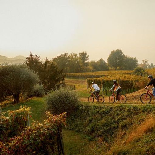 Pedalando nel Mendrisiotto alla scoperta del vino