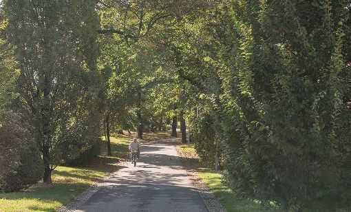 Lugano e Bolzano unite dal nuovo progetto VerdeVale